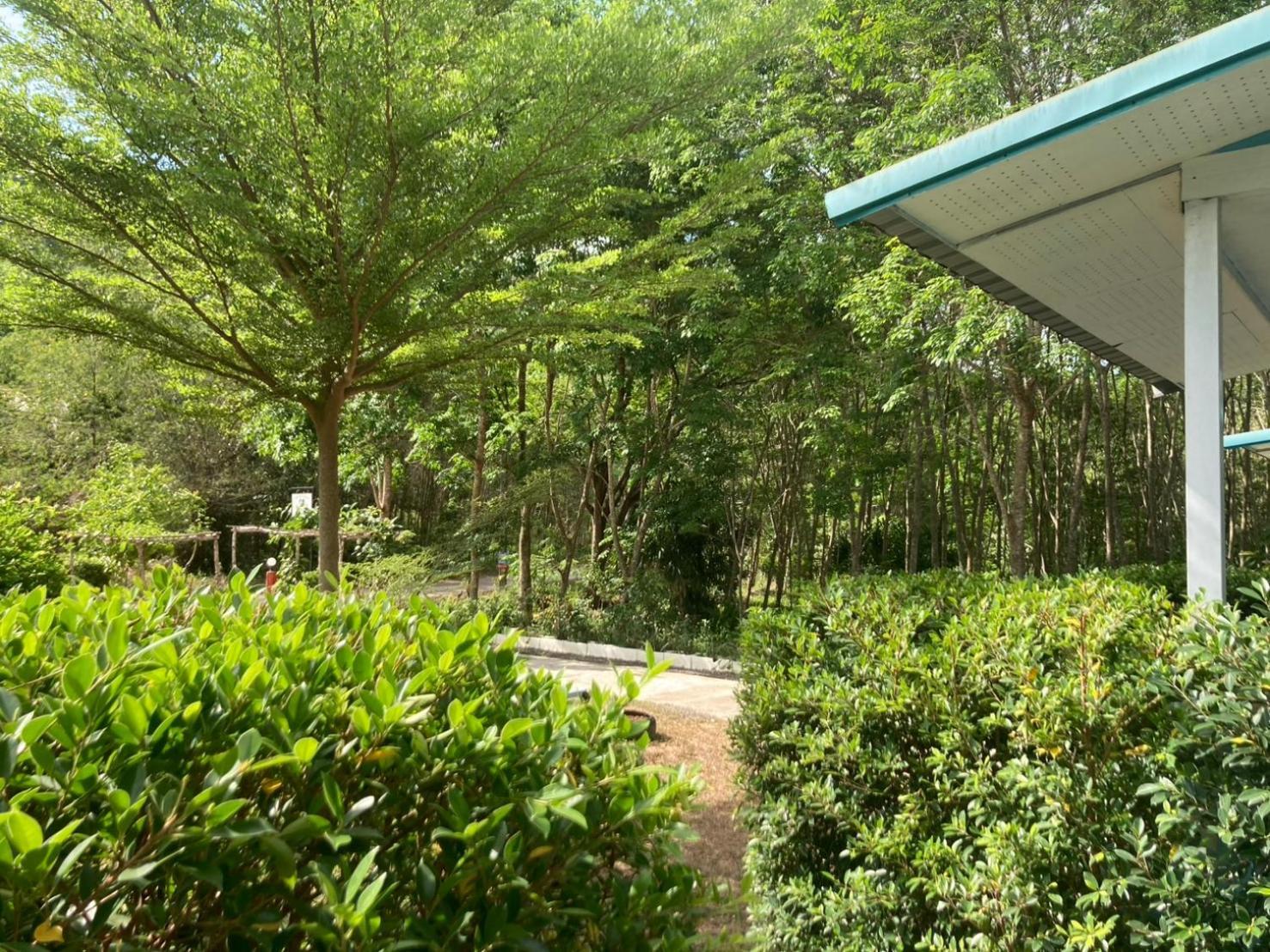 Baan Seefa Homestay Kohyaoyai Ko Yao Yai Ngoại thất bức ảnh
